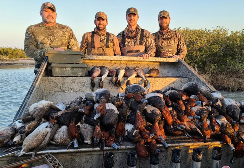 Mexico Guided Duck Hunts