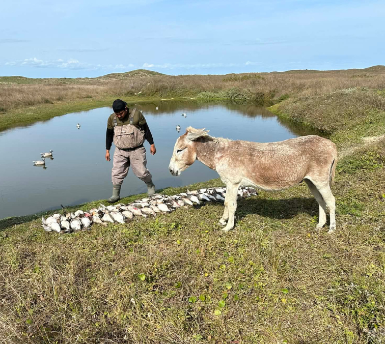 Mexico Waterfowl Hunting