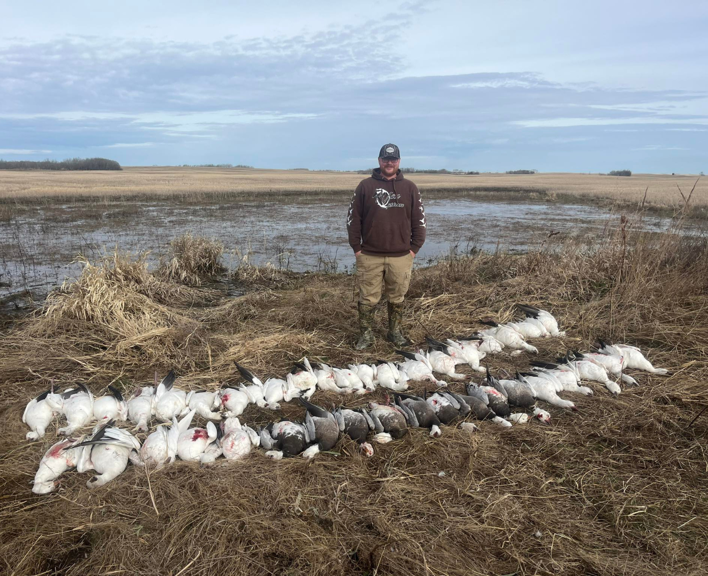 Saskatchewan Spring Snow Goose Hunts