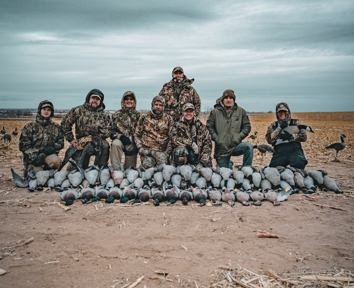 Colorado Goose Hunts