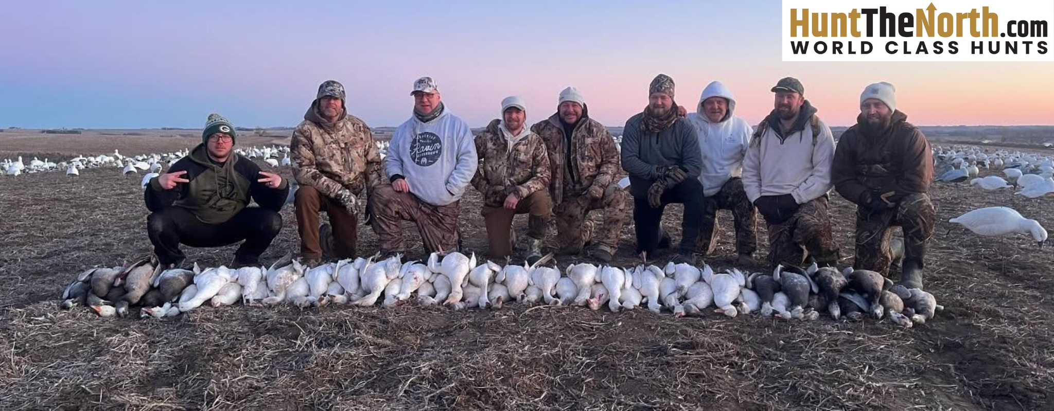 Iowa Spring Snow Goose Hunts