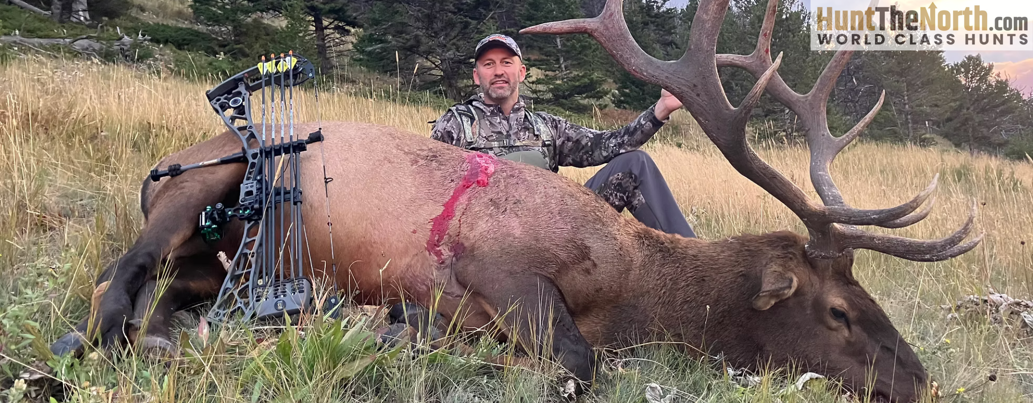 Montana Guided Elk Hunts