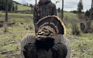 Guided Washington Turkey Hunts