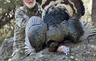 Washington Turkey Hunting