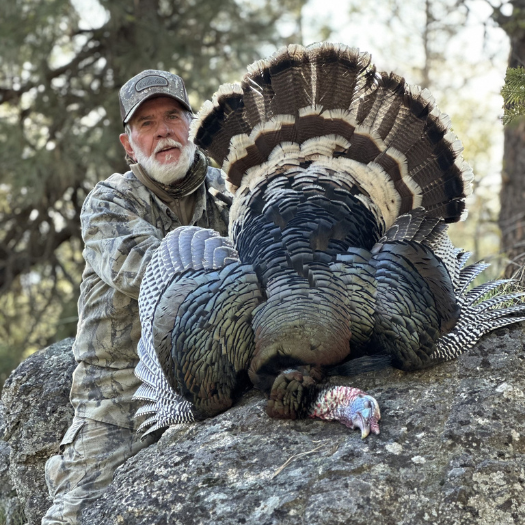 Washington Turkey Hunting