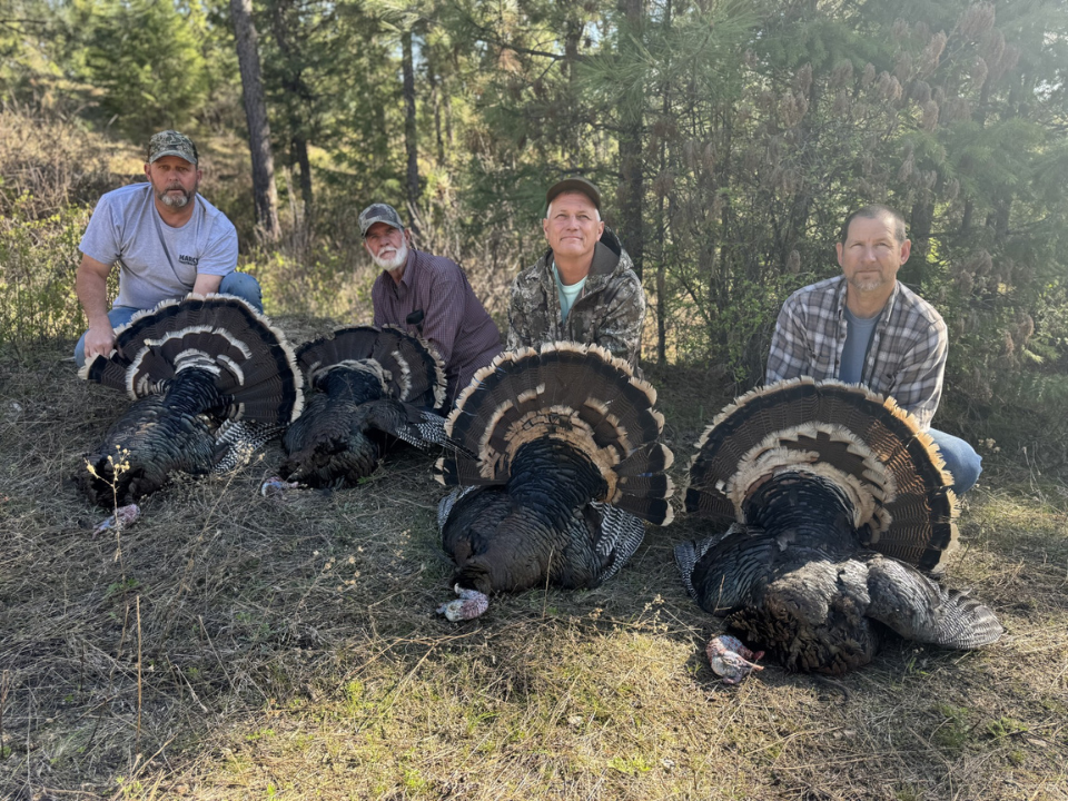 Washington Turkey Hunting