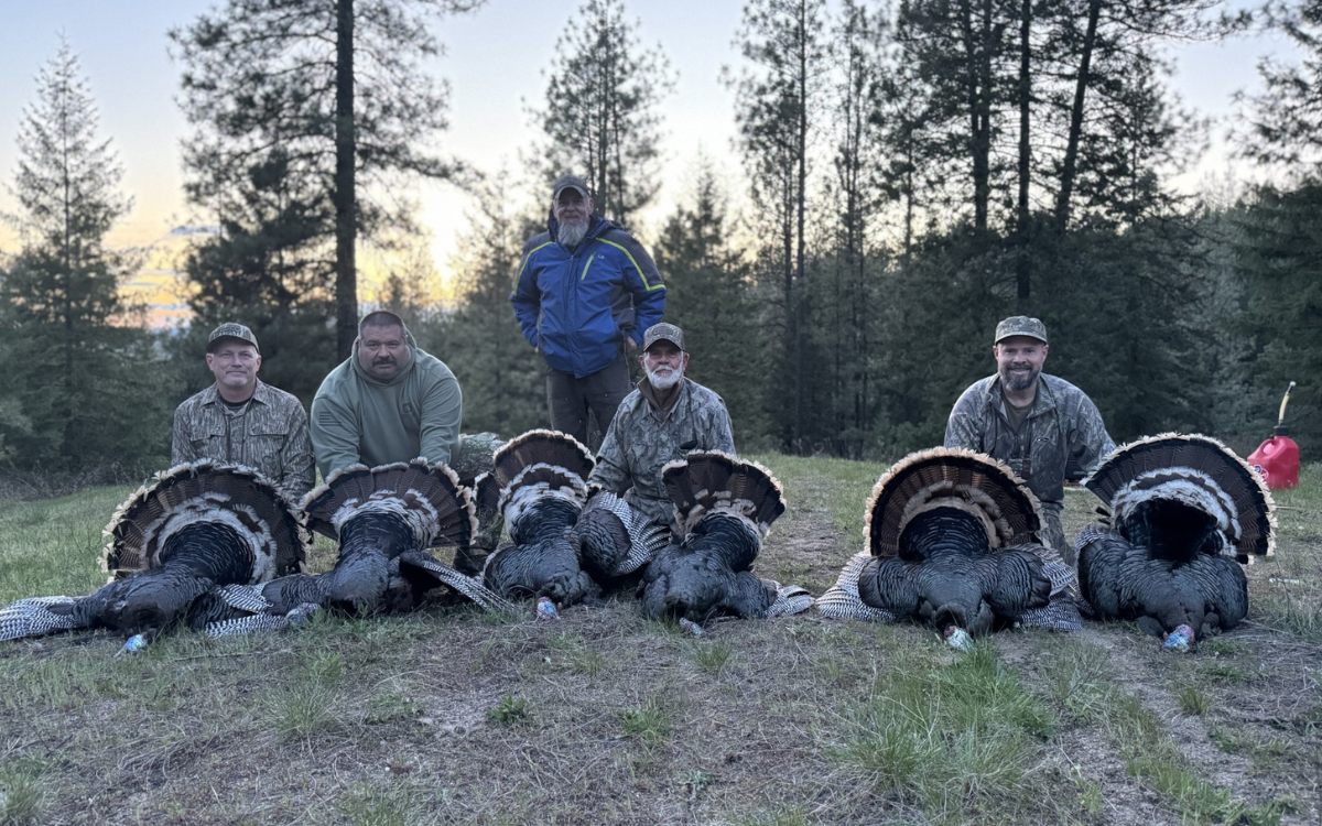 Washington Turkey Hunting Outfitter
