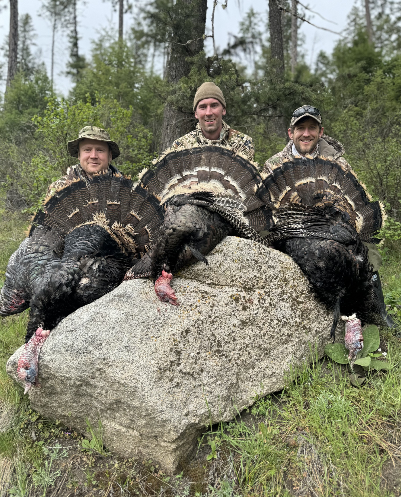 Washington Turkey Hunting Outfitter