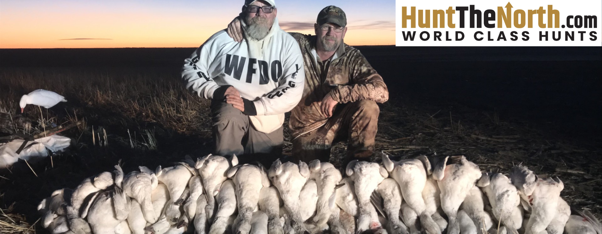Colorado Spring Snow Goose Hunts
