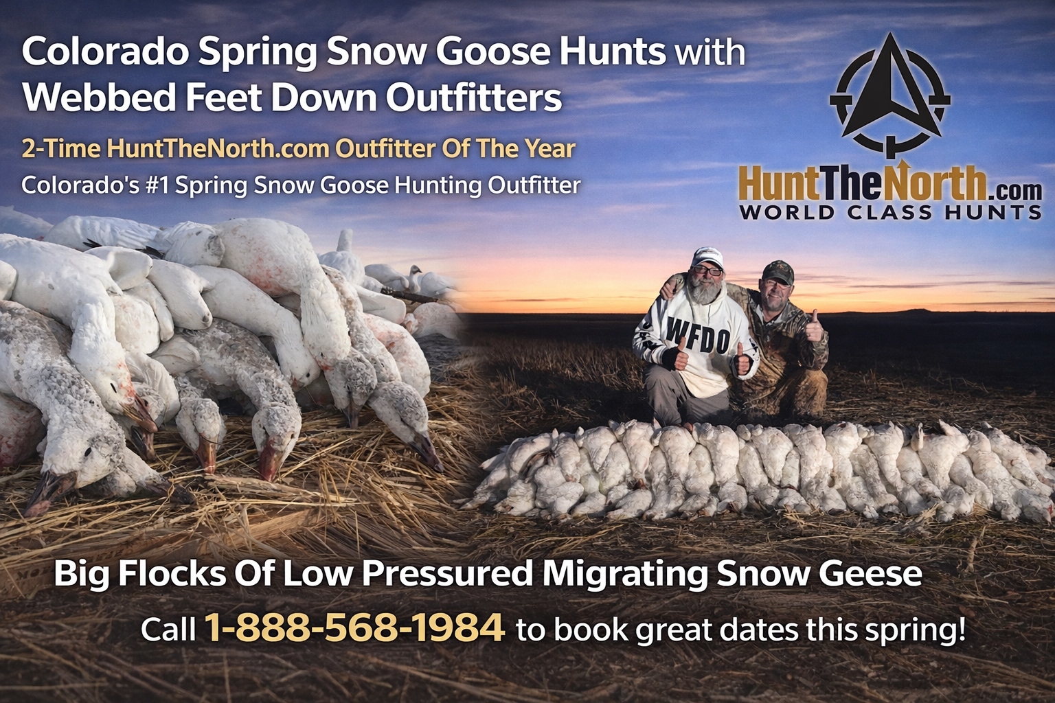 Colorado Spring Snow Goose Hunts