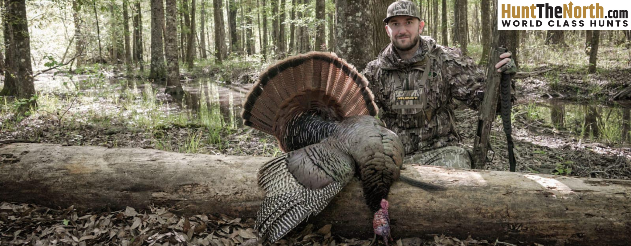 Georgia Turkey Hunts