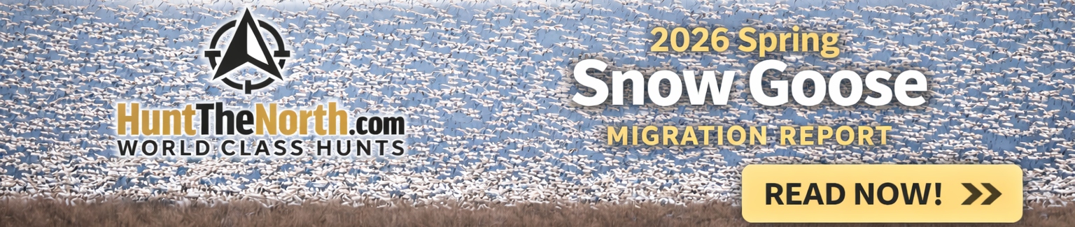 Spring Snow Goose Migration Report