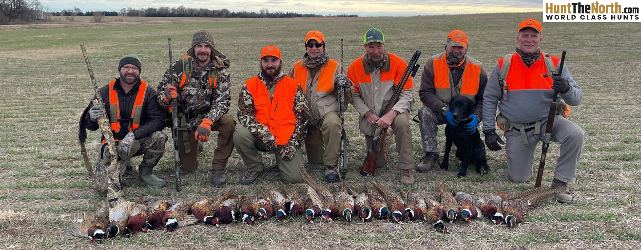 Kansas Upland Hunting Kansas Upland Hunting