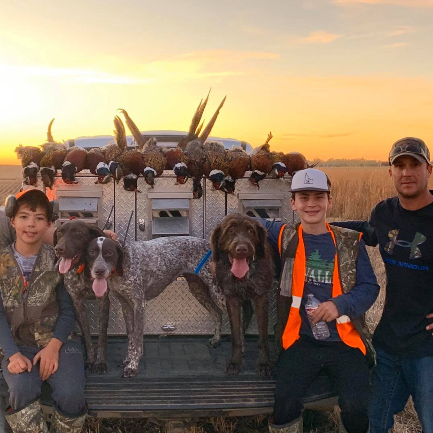 Kansas Upland Hunts Kansas Upland Hunts