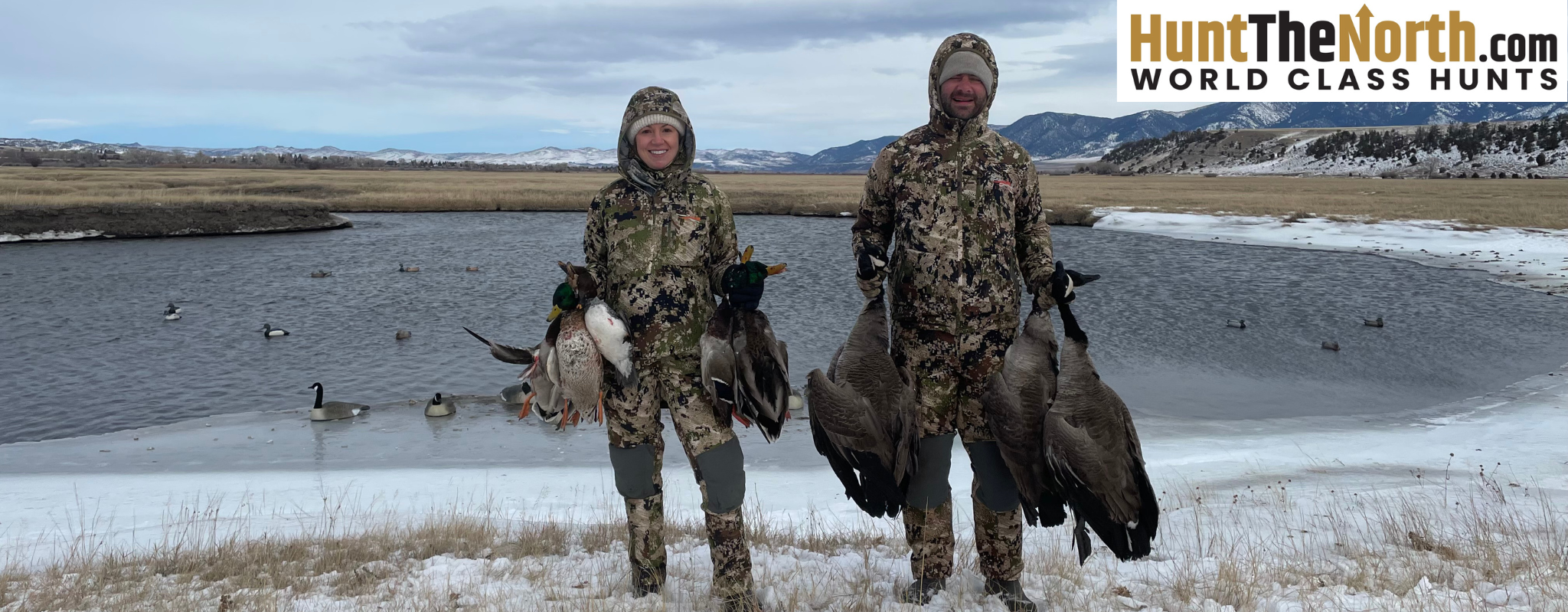 Montana Duck Hunts