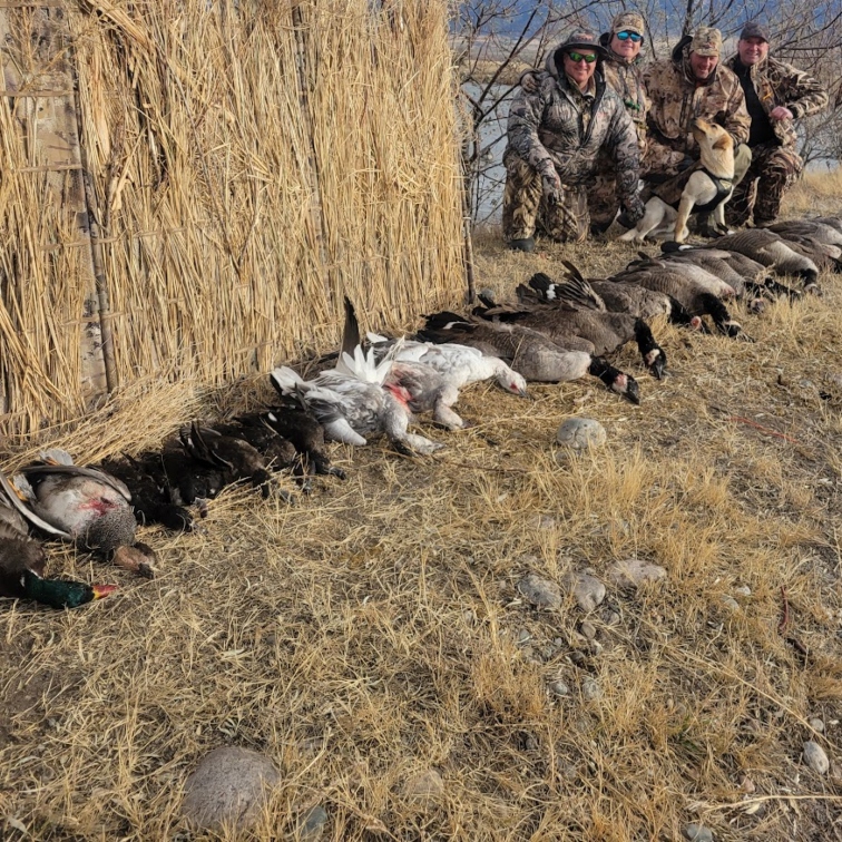 Montana Waterfowl Hunts