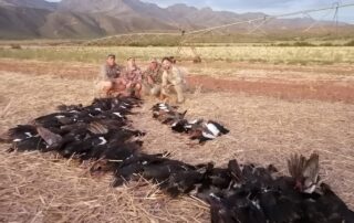 Africa Waterfowl Hunts Africa Waterfowl Hunts