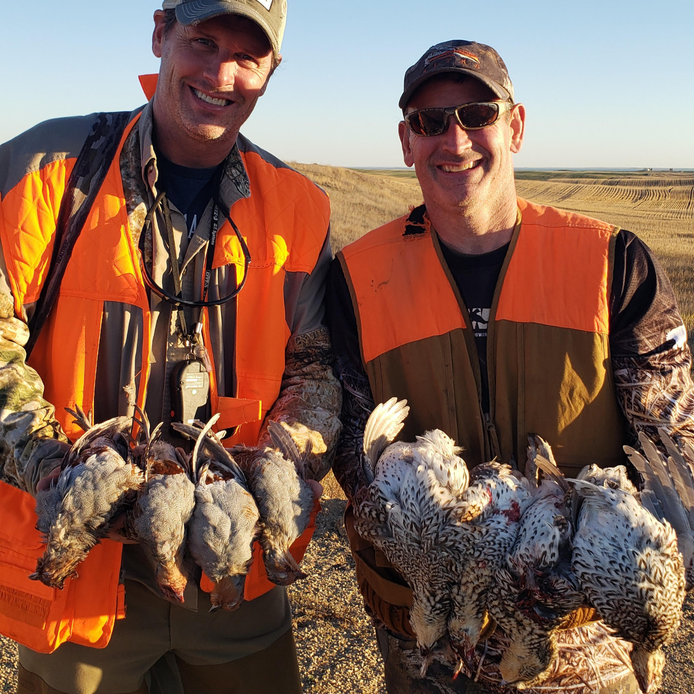 Saskatchewan Upland Bird Hunts Saskatchewan Upland Bird Hunts