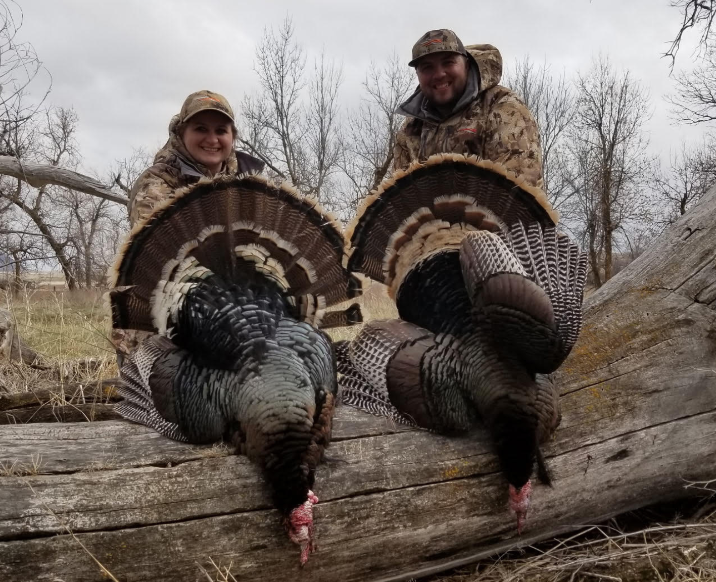 South Dakota Turkey Hunts