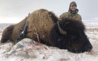 North Dakota Buffalo Hunting