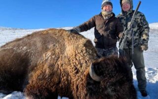 North Dakota Buffalo Hunting