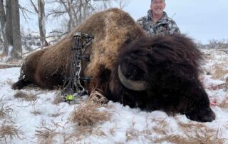 North Dakota Buffalo Hunting