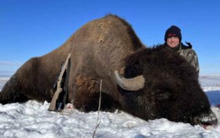 North Dakota Buffalo Hunts