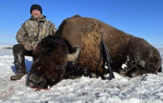 North Dakota Buffalo Hunts