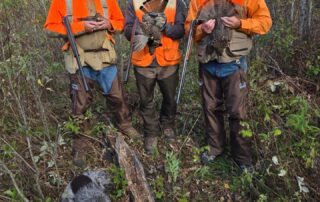 Minnesota Grouse Hunting