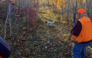 Minnesota Grouse Hunting Guides