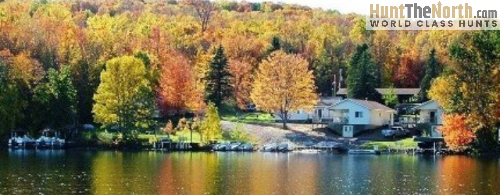 Michigan Grouse Hunting Michigan Grouse Hunting