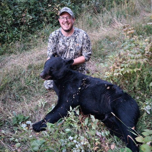 Minnesota Bear Hunting