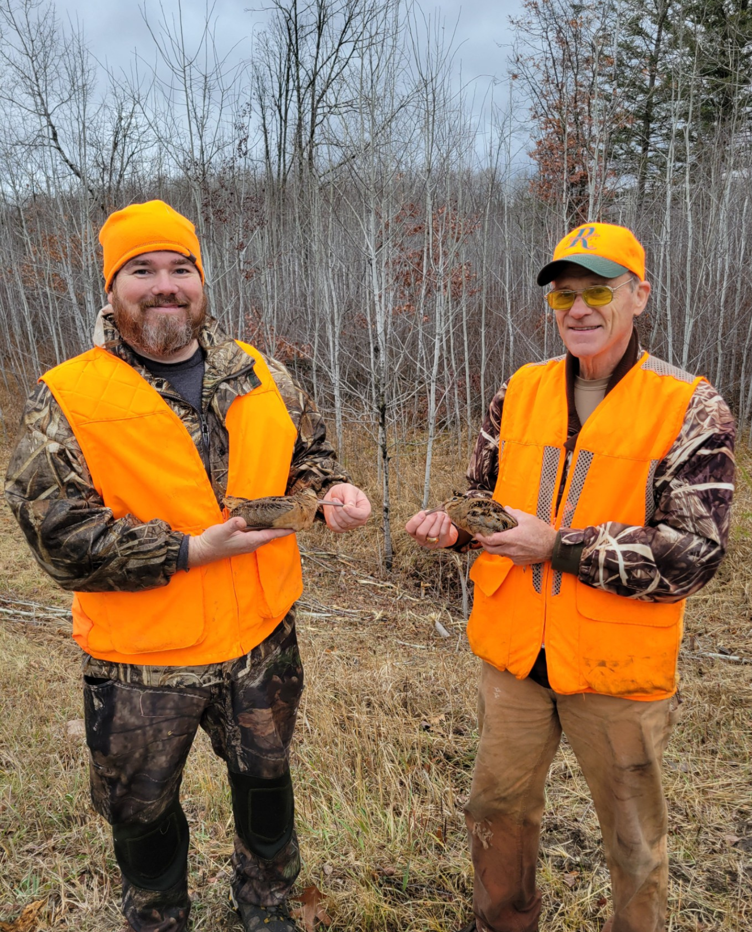 Minnesota Grouse Hunting