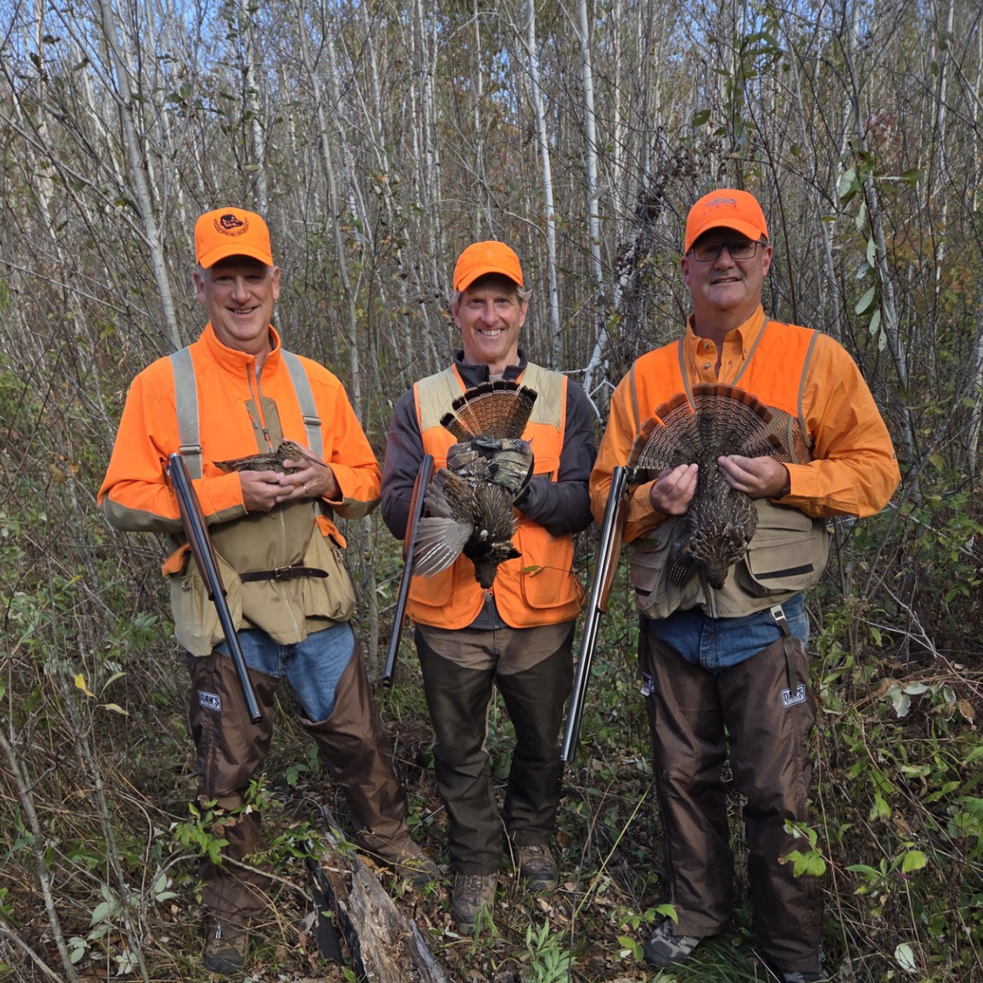 Minnesota Grouse Hunting Guides