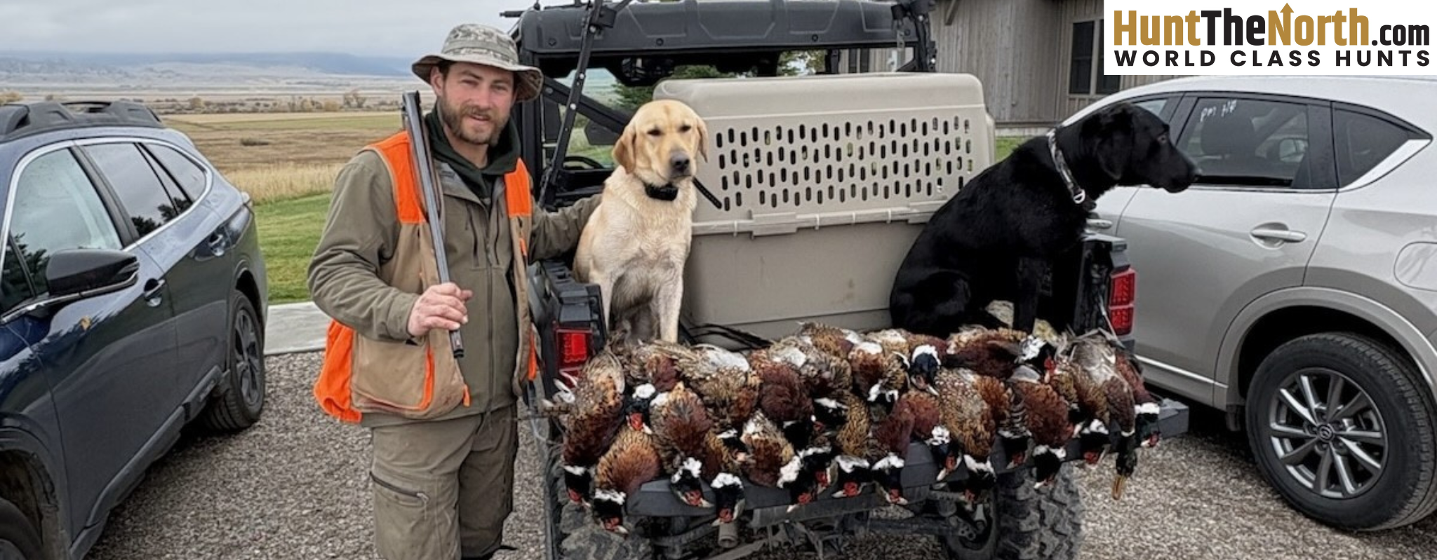 Montana Upland Hunts Montana Upland Hunts