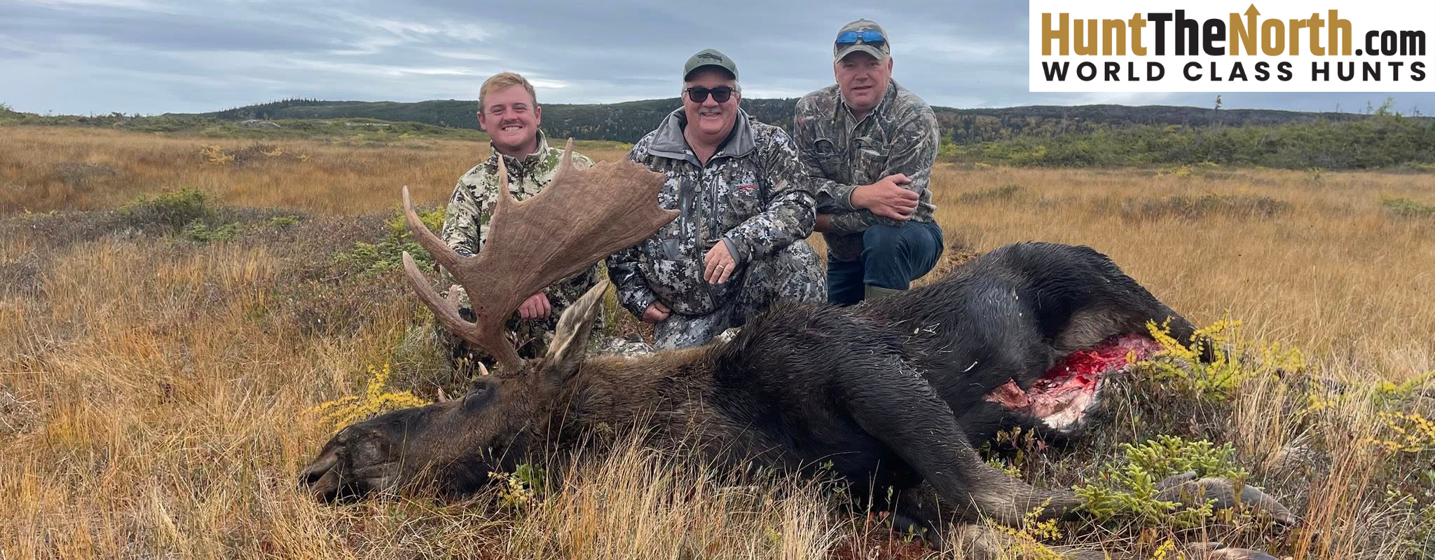 Newfoundland Moose Hunting Guides