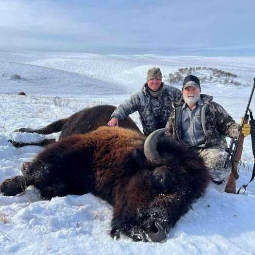 North Dakota Buffalo Hunts