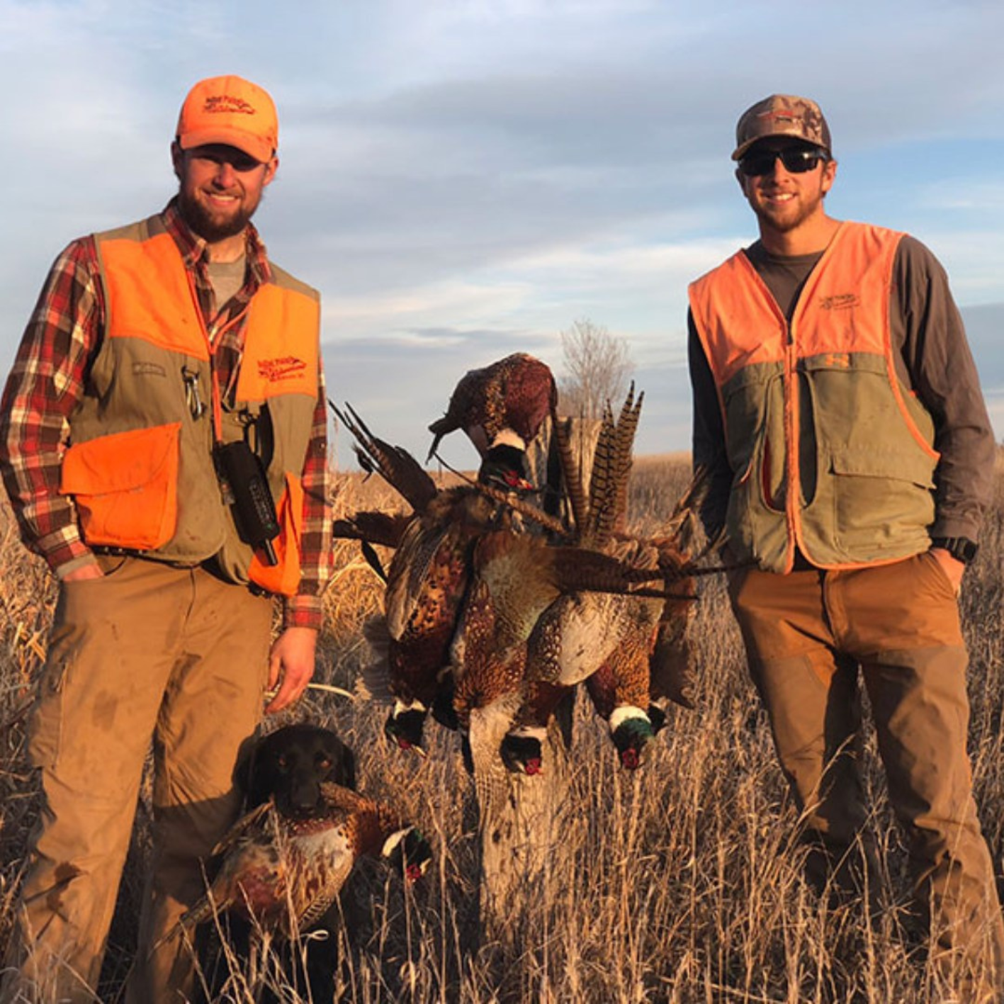 North Dakota Pheasant Hunts
