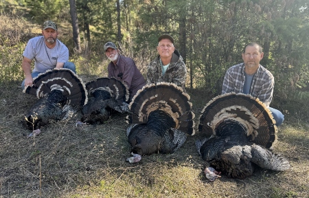 Washington Turkey Hunting