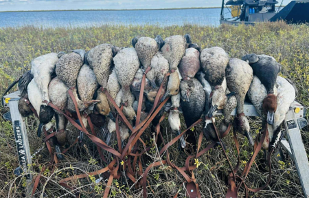 Texas Duck Hunting Guides