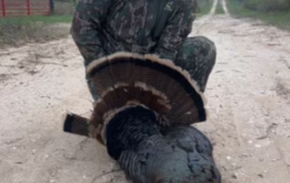 Guided Turkey Hunts