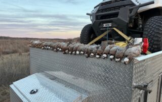 OK Quail Hunting Guides