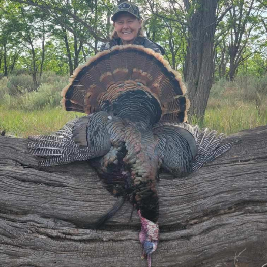 Oklahoma Guided Turkey Hunts Oklahoma Guided Turkey Hunts