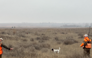 Oklahoma Quail Hunting Outfitters