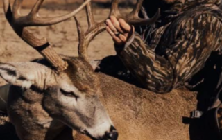 Oklahoma Whitetail Deer Hunting Oklahoma Whitetail Deer Hunting