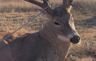 Oklahoma Whitetail Deer Hunting Outfitter Oklahoma Whitetail Deer Hunting Outfitter