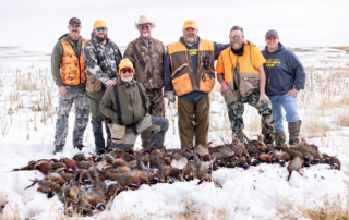 South Dakota Pheasant Hunting South Dakota Pheasant Hunting Outfitters