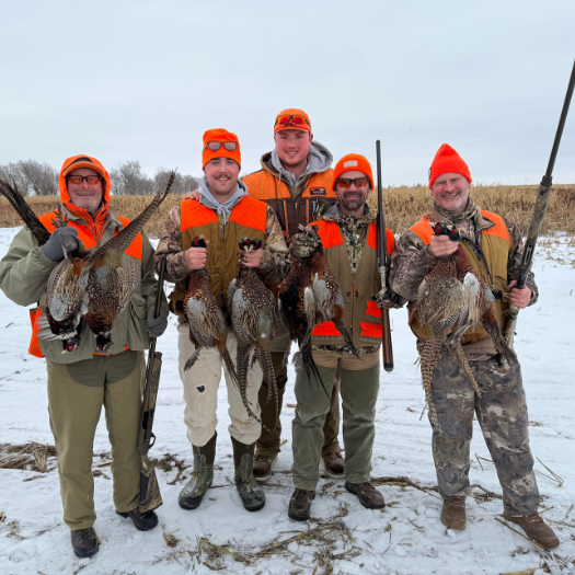 South Dakota Pheasant Hunts South Dakota Pheasant Hunting Guides