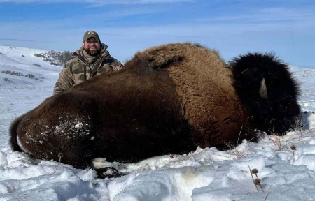 North Dakota Buffalo Hunting